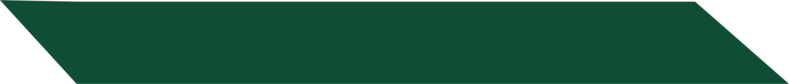 wide dark green website background service charge