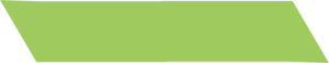 light green website background